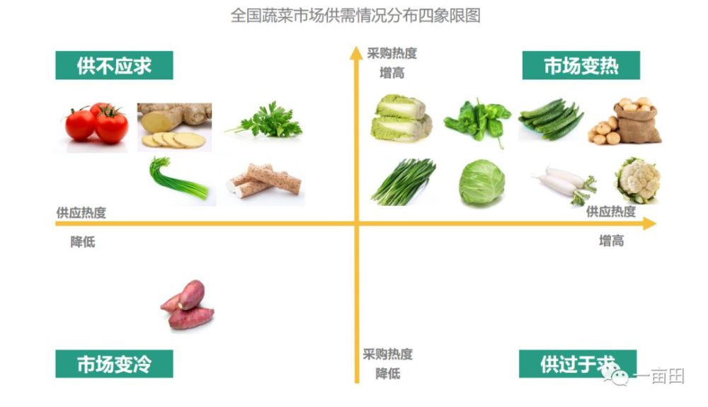 道路运输不畅等因素影响,面临着蔬菜难销的困境, 建议这些蔬菜产区可