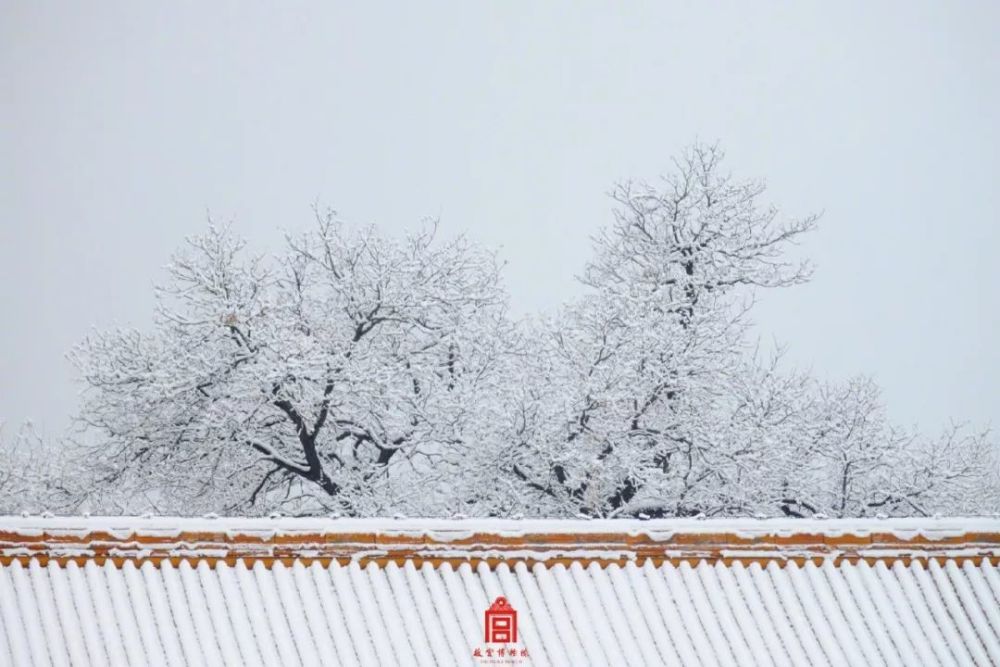 又双叒叕下雪了!北京一夜变北平!更重要的是