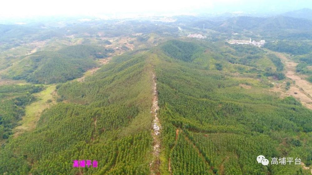 高埔镇,龙岗,南阳,石龙,梅星村,普宁市