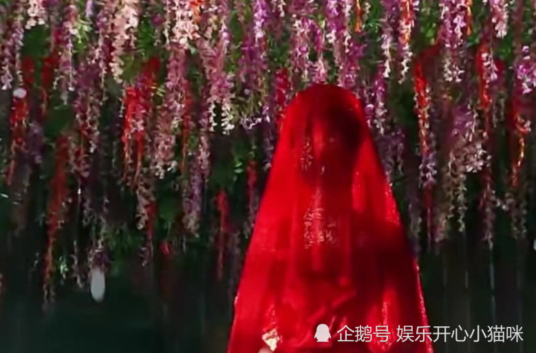 《枕上书》白浅和夜华大婚,白凤九代替青丘送姑姑出嫁