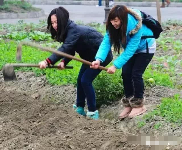 现在农村人还会种地吗?下一代的农村人,00后,90后?背后真相让人深思