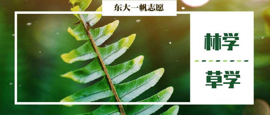 林学类&草学类专业与就业方向介绍