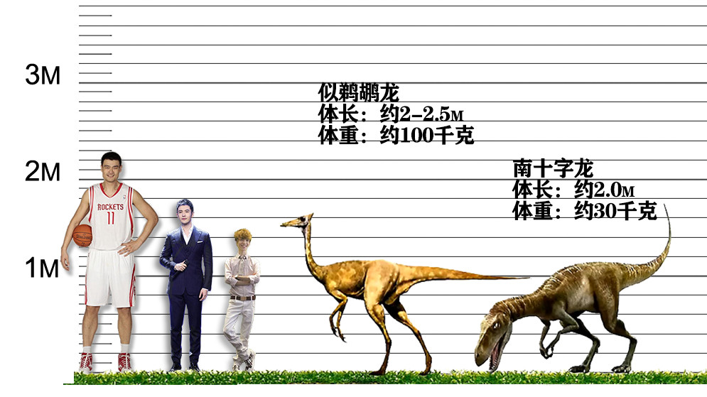 这次又把姚明拿来跟恐龙比身高,看看是怎样的画面