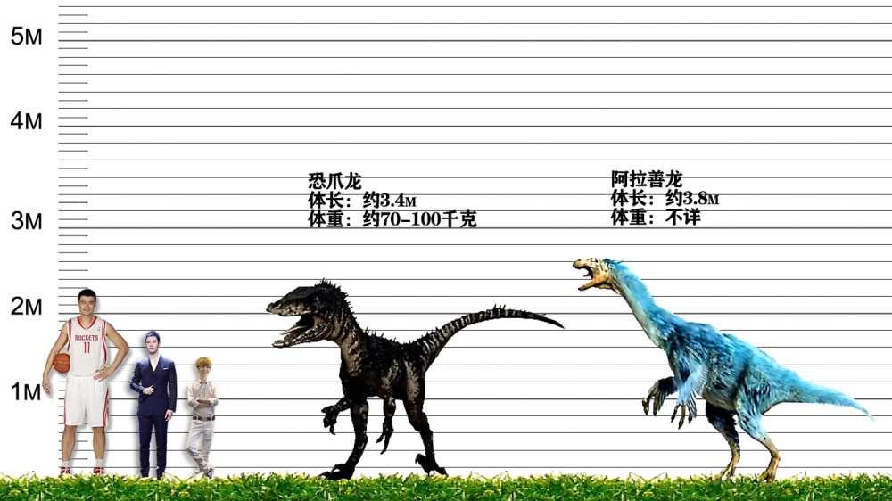 这次又把姚明拿来跟恐龙比身高,看看是怎样的画面