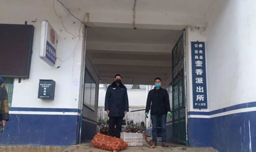 疫情,彝良县,奎香乡