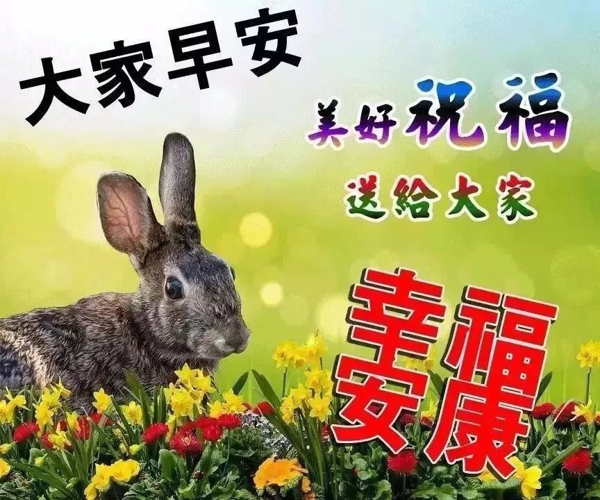 微信最美问候早上好带字图片动态表情 一句话早安心语