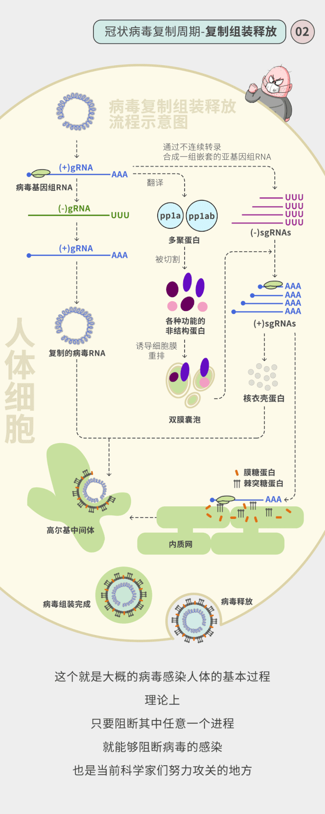 640_1600竖版 竖屏gif 动态图 动图