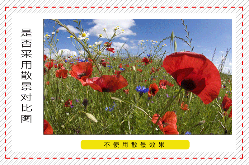 我们都知道光圈大小决定景深.光圈通常会从最大f / 2.