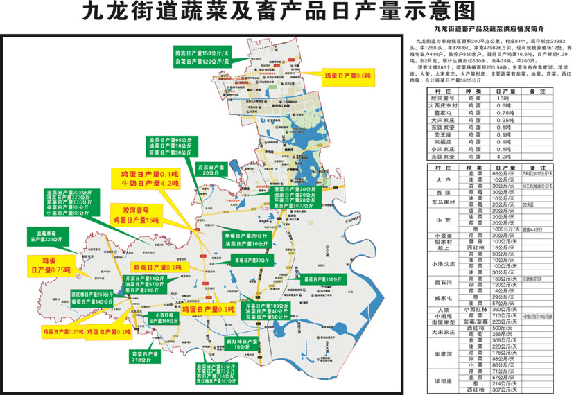 青岛胶州九龙街道:蔬菜畜禽供应足 决战防疫心不慌