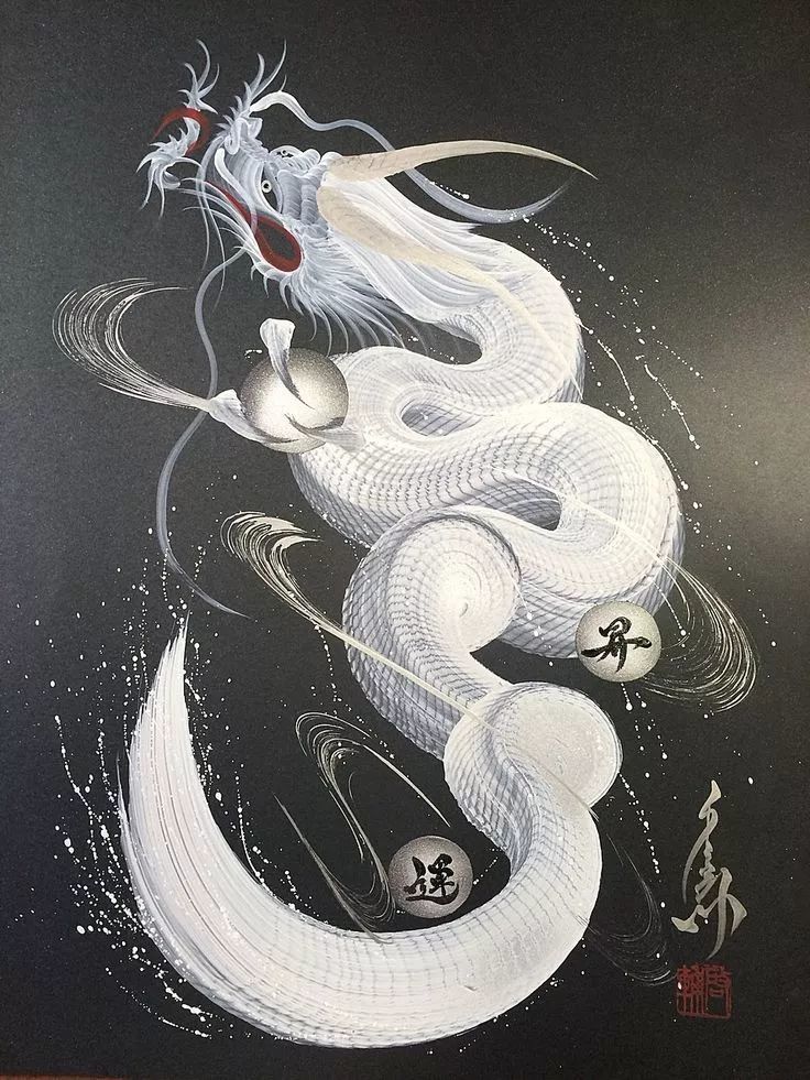 冬天的白龙则显得高冷,炫酷 在细雪飞舞的苍穹 闪转腾挪,灵动聪慧