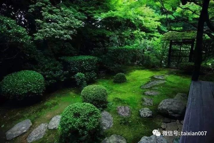 庭院,园艺