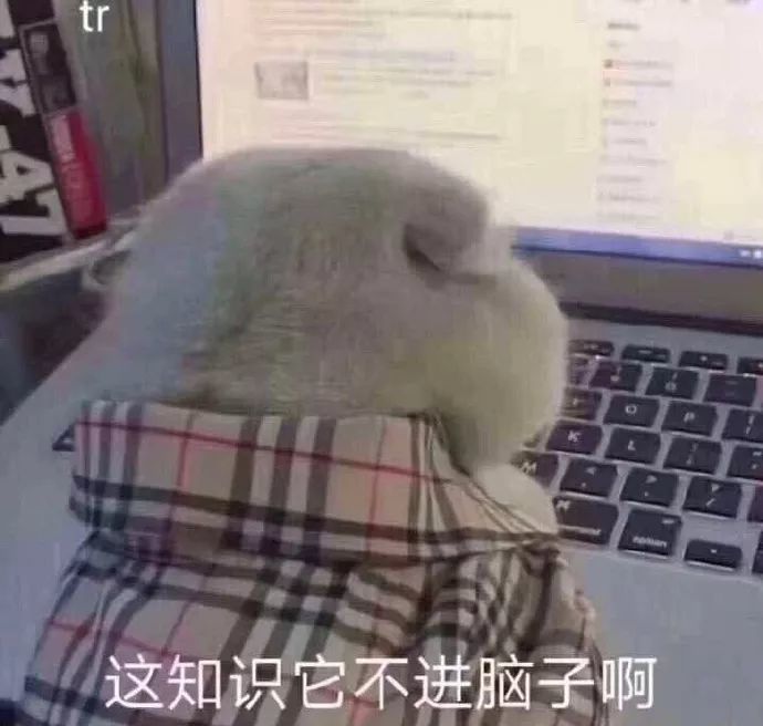 表情包:网课太欺负人了
