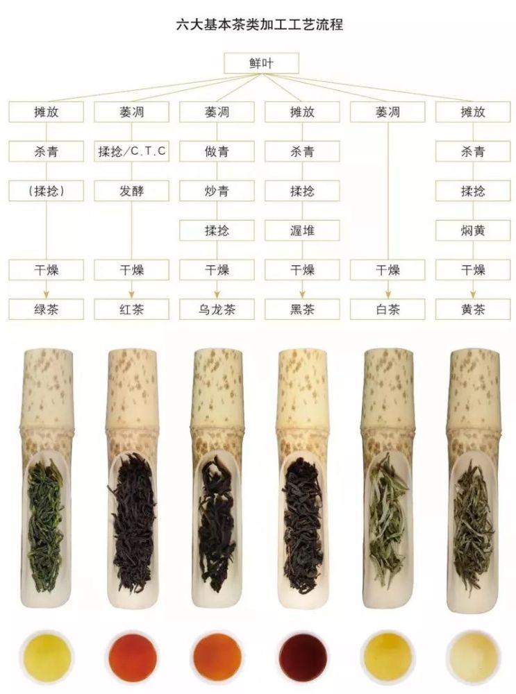 中国六大茶类分别是哪六类?一文讲清楚