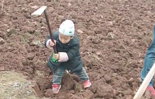 在这个闲暇的时光,奶爸带着娃一起"下地挖土",两个人,一个拿着大锄头