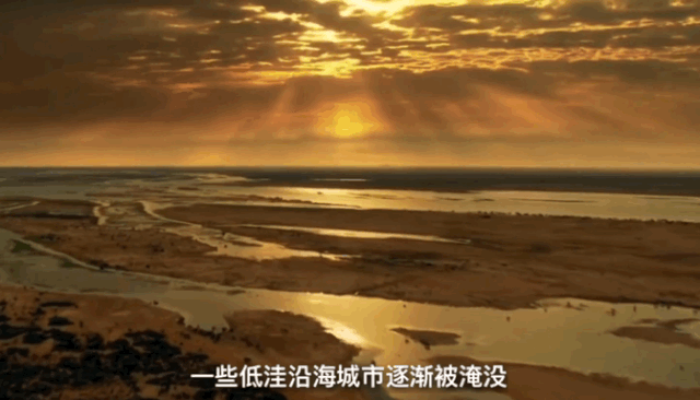 人类隔离才几天，河水清了，空气好了，动物回来了