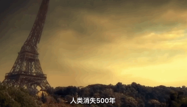 人类隔离才几天，河水清了，空气好了，动物回来了