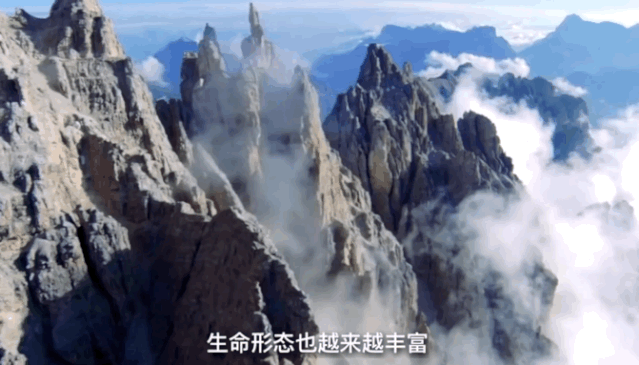 人类隔离才几天，河水清了，空气好了，动物回来了