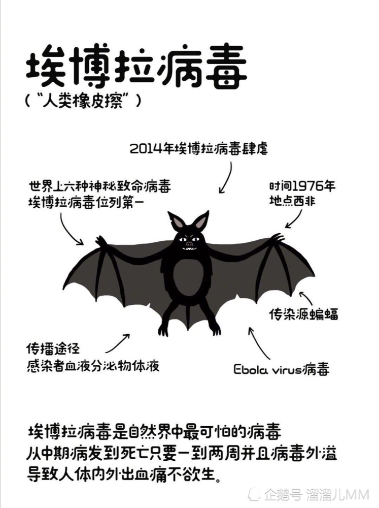 病毒,艾滋病,埃博拉病毒,hiv病毒,肝炎病毒,鼠疫,马尔堡,sars,流感