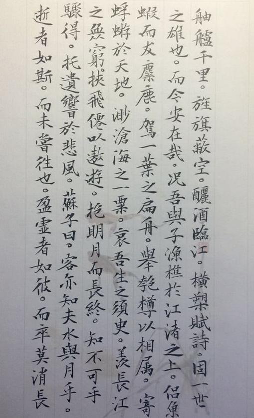 他的小楷有钟繇的萧散,又有"大王"的妍美,入12届国展