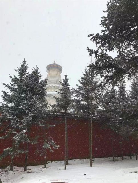 显通寺,五台山第一大寺,中国最早的佛寺之一,历史最为悠久,极富佛教