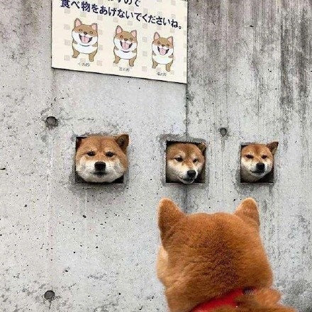 营业三狗:兄弟,别走啊,玩打地鼠吗?