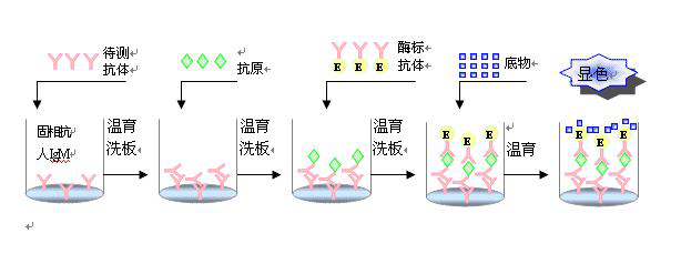 新冠病毒核酸检测用的试剂盒到底是什么东西?