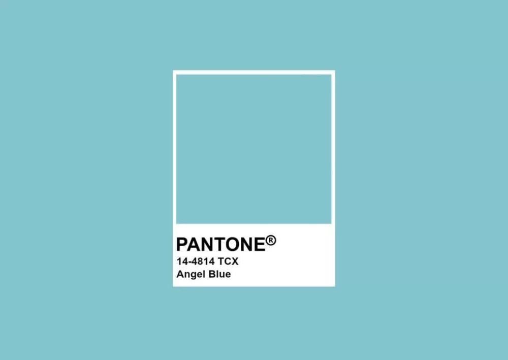 单品,bottega veneta,克莱因蓝,f君,pantone,牛仔裤