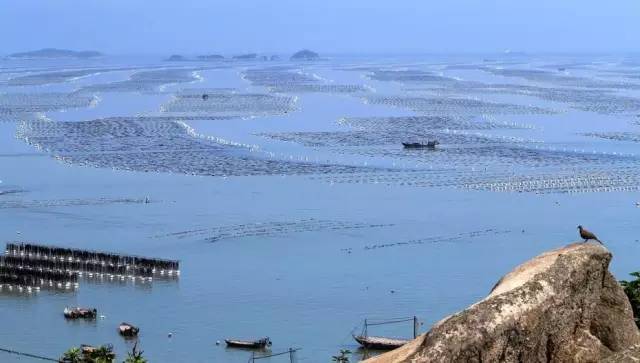 2017开年做什么生意好?首选鲜果时光加盟