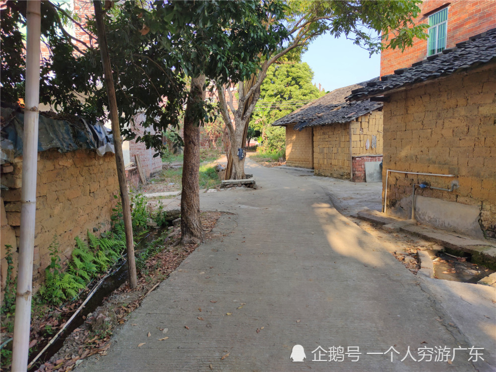 广东罗定:附城街道的丰盛古村,保留着怎样的风景?