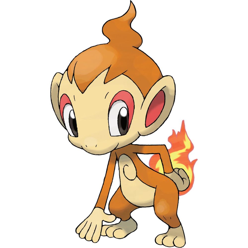 第四世代:小火焰猴