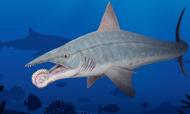 世界上最"恐怖"的鲨鱼,牙齿能当电锯用,被咬一口很可怕