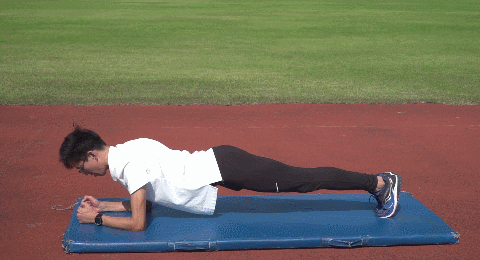 组,组间歇2分钟 身体俯卧 依靠躯干力量,同时抬起上身和下肢 平板支撑