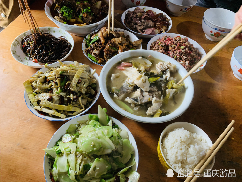 宅家两个星期,剩饭剩菜该怎么处理?环保与卫生不可兼得