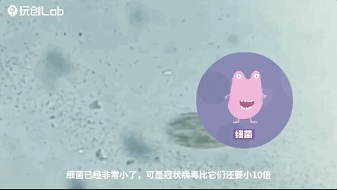 肉眼看不见的细菌,很多同学在科学课上已经知道,真实的冠状病毒有多大