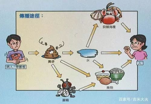 预防"粪口传播"!环卫公司强化管理,不留死角