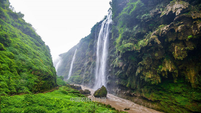 兴义市,贵州,马岭河峡谷风景区,万峰林,油菜花