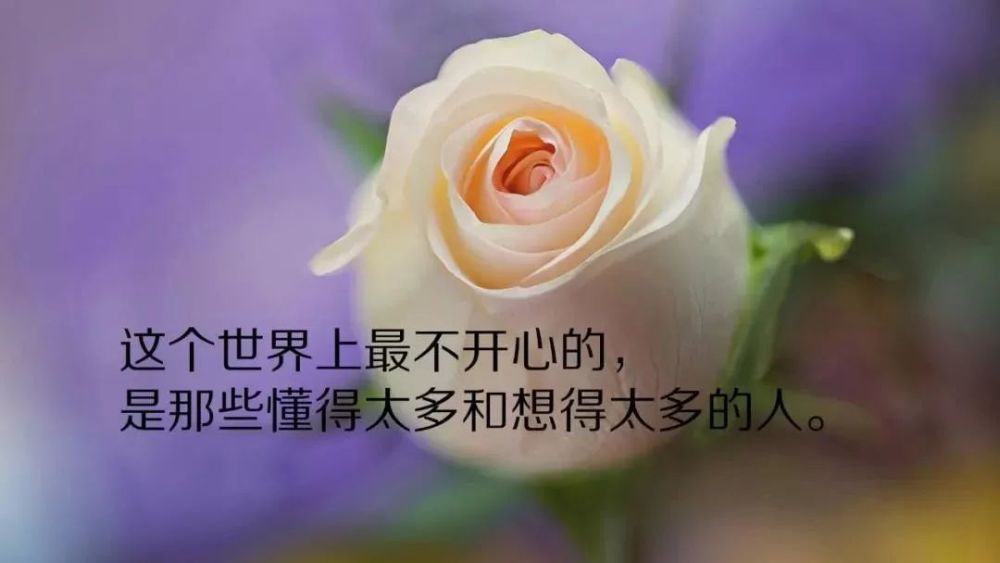 微信朋友圈感悟人生的精辟句子 总有一句触动你!