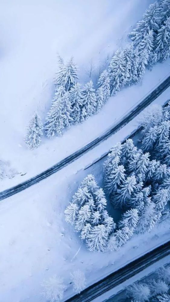 2020年雪景手机壁纸