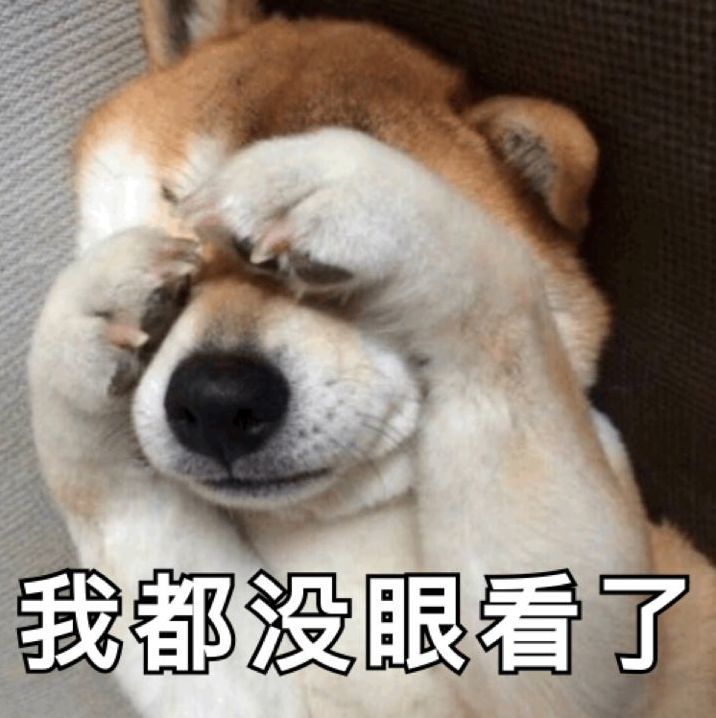 简直没眼看