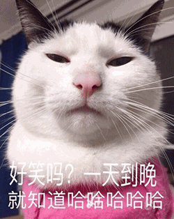 壁纸 动物 猫 猫咪 小猫 桌面 250_314 竖版 竖屏 手机 gif 动态图 动