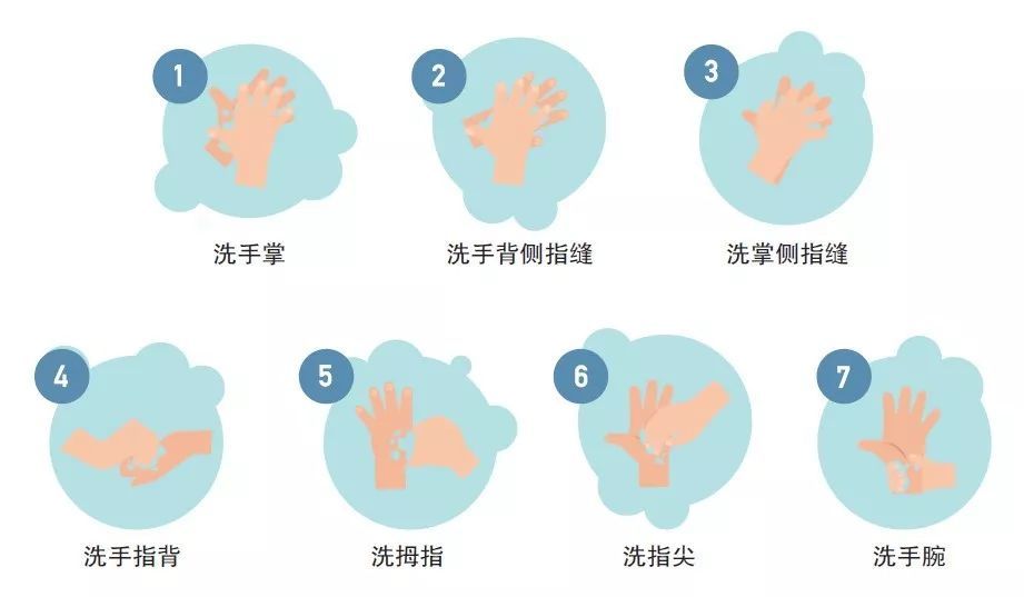 7步洗手法示意图如下