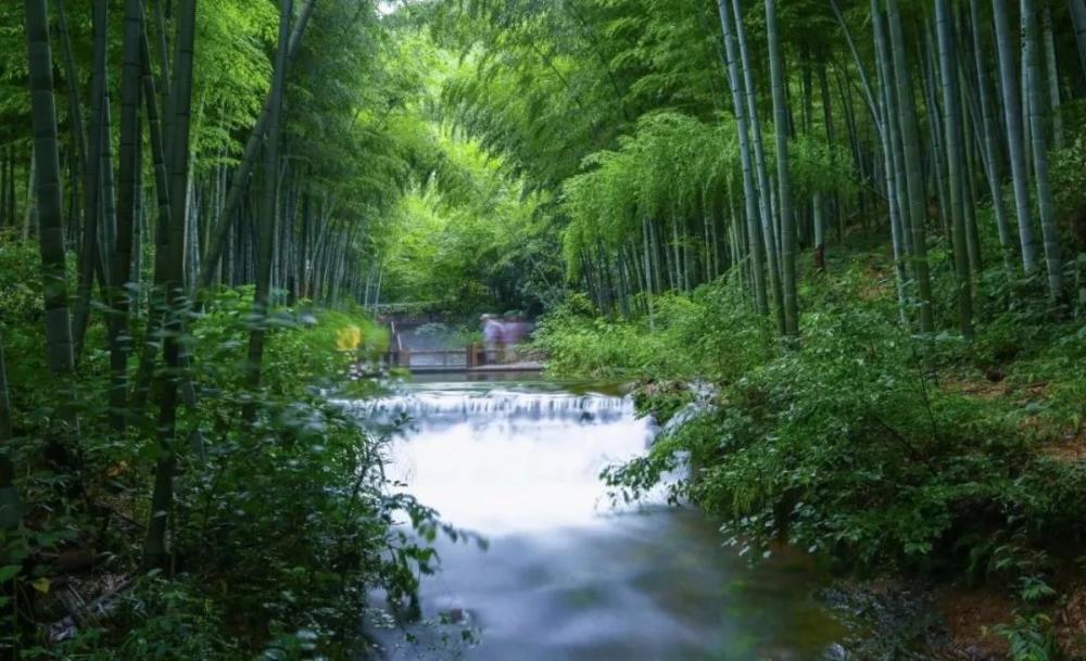 旅游景区,旅游股份有限公司,天目湖,天目湖山水园,文旅,南山竹海