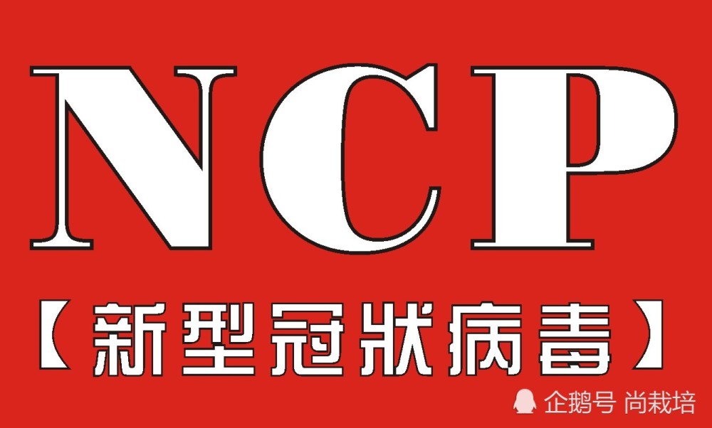 新冠状病毒ncp期间,锡惠在线,对网络教学有无看法