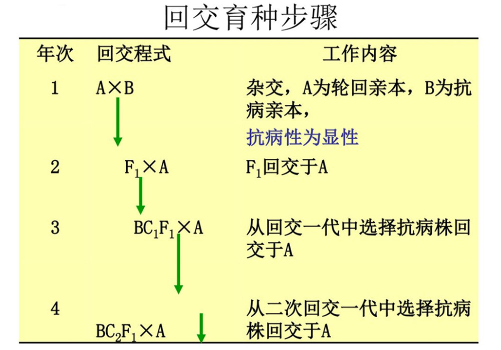 回交育种,回交,动物回交,近亲繁殖,基因