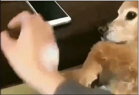 平时用手机,它们就各种拦着你…除了当你电话会议的时候,时不时传来的