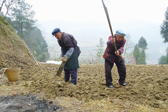 疫情期间,在农村能在地里干活吗?