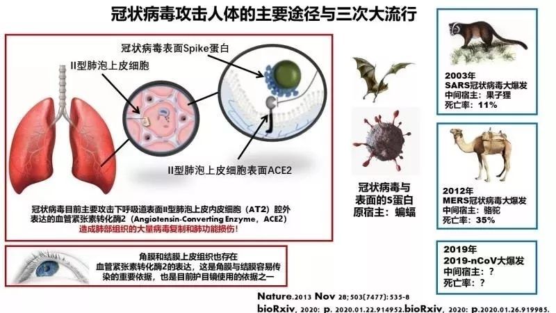 图-1 新型冠状病毒感染人体的途径