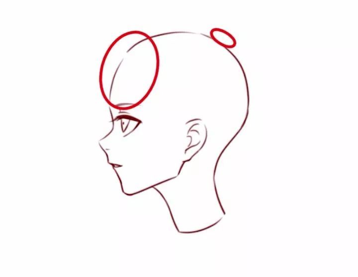 女生的马尾怎么画?再教你画头发的运笔技巧