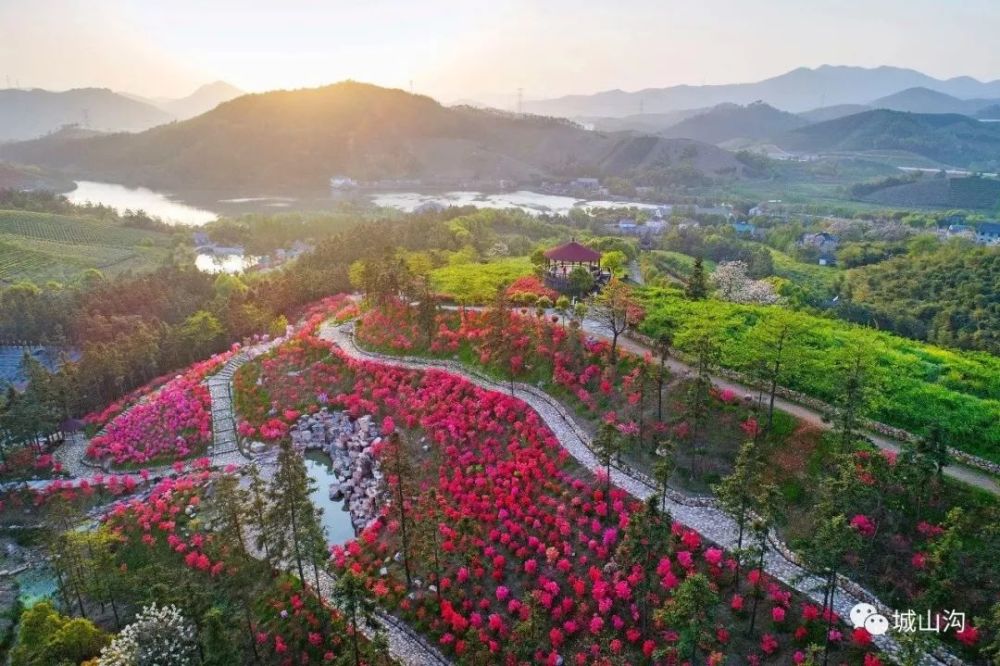 湖州,长兴县,景区,中国扬子鳄村,国家湿地公园,仙山湖