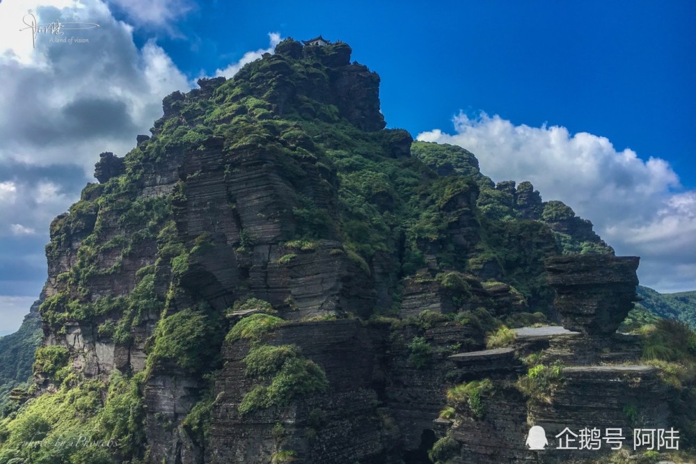 在梵净山之巅,用手机随拍都是好风景